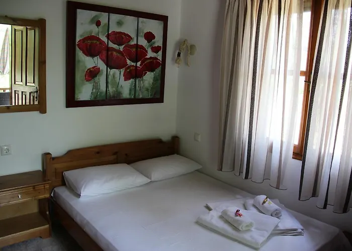 Apartament Patroudis House