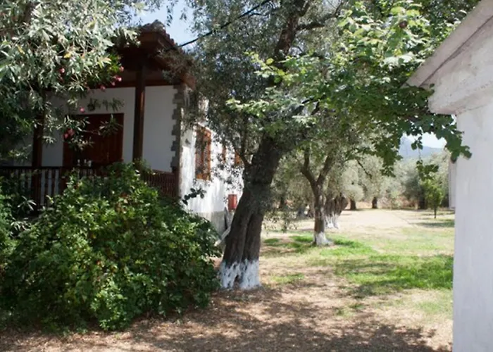 Patroudis House
